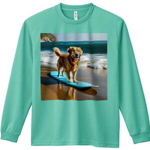 TVc lԗp Y Ht vg W[ AEghA JWA 킢 t@ T[t{[h S[fgo[ C l g