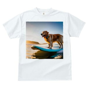 TVc fB[X t@  t  vg JWA 킢 lԗp tBbglX _X T[t{[h S[fgo[ C v