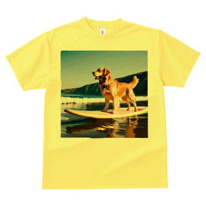 TVc Y LbY t@  t  vg JWA 킢 lԗp tBbglX _X T[t{[h S[fgo[ r[` g C i