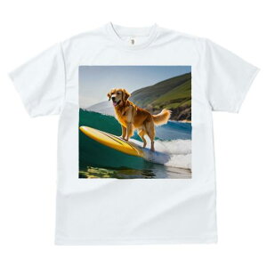 TVc fB[X t@  t  vg JWA 킢 lԗp tBbglX _X T[t{[h S[fgo[ C g r[` i