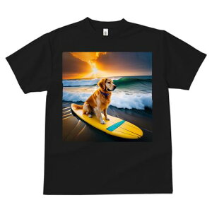 TVc fB[X t@  t  vg JWA 킢 lԗp tBbglX _X T[t{[h S[fgo[ [ g C