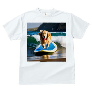 TVc fB[X t@  t  vg JWA 킢 lԗp tBbglX _X T[tB S[fgo[ C g T[t{[h R