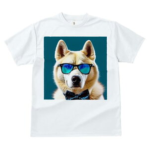 TVc fB[X t@  t  vg JWA 킢 lԗp tBbglX _X ዾ VxAnXL[ lN^C 