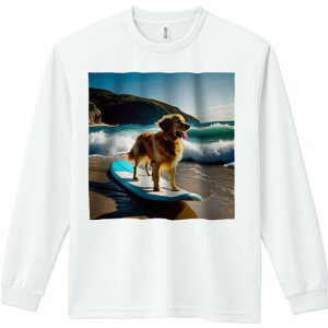 TVc lԗp Y Ht vg W[ AEghA JWA 킢 t@ T[t{[h S[fgo[ C g r[` 