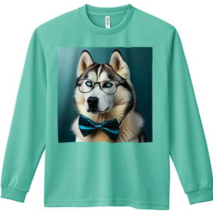 TVc lԗp Y Ht vg W[ AEghA JWA 킢 t@ Kl VxAnXL[ lN^C