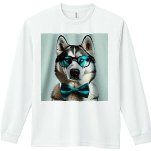 TVc lԗp Y Ht vg W[ AEghA JWA 킢 t@ Kl VxAnXL[ lN^C N[