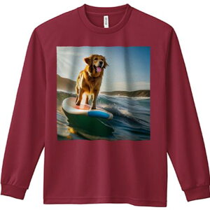 TVc lԗp Y Ht vg W[ AEghA JWA 킢 t@ T[t{[h S[fgo[ C g T[tB