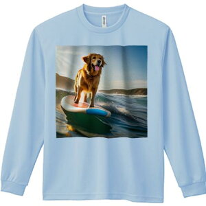 TVc lԗp Y Ht vg W[ AEghA JWA 킢 t@ T[t{[h S[fgo[ C g T[tB