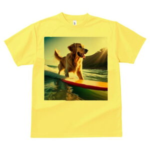 TVc Y LbY t@  t  vg JWA 킢 lԗp tBbglX _X T[tB S[fgo[ C g T}[X|[c [Ă