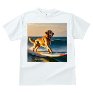 TVc fB[X t@  t  vg JWA 킢 lԗp tBbglX _X T[tB S[fgo[ [ C 