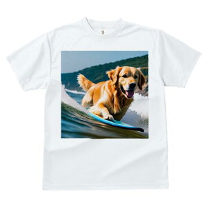 TVc Y LbY t@  t  vg JWA 킢 lԗp tBbglX _X T[tB S[fgo[ g C R y