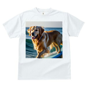 TVc Y LbY t@  t  vg JWA 킢 lԗp tBbglX _X T[tB S[fgo[ C g