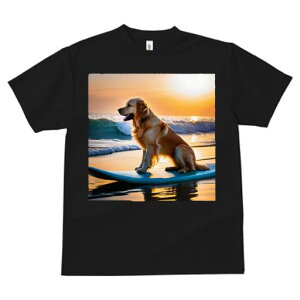 TVc fB[X t@  t  vg JWA 킢 lԗp tBbglX _X T[t{[h S[fg[o[ [ g C