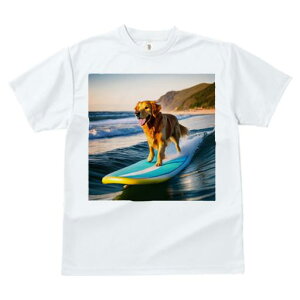 TVc fB[X t@  t  vg JWA 킢 lԗp tBbglX _X T[t{[h S[fgo[ C [z g