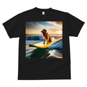 TVc fB[X t@  t  vg JWA 킢 lԗp tBbglX _X T[t{[h S[fgo[ g C [Ă