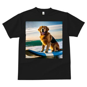 TVc fB[X t@  t  vg JWA 킢 lԗp tBbglX _X T[t{[h S[fgo[ C g [ 