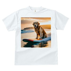 TVc fB[X t@  t  vg JWA 킢 lԗp tBbglX _X T[t{[h S[fgo[ [ C g