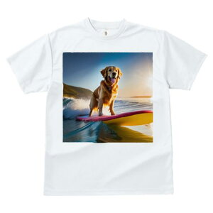 TVc Y LbY t@  t  vg JWA 킢 lԗp tBbglX _X T[tB{[h S[fgo[ g [ C