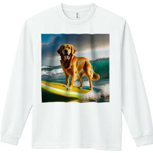 TVc lԗp Y Ht vg W[ AEghA JWA 킢 t@ T[t{[h S[fgo[ C g T[tB