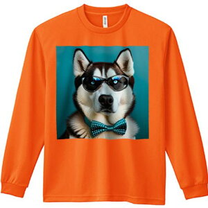 TVc lԗp Y Ht vg W[ AEghA JWA 킢 t@ ዾ VxAnXL[ lN^C 