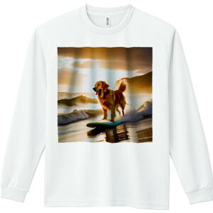 TVc lԗp Y Ht vg W[ AEghA JWA 킢 t@ T[tB S[fgo[ [ r[` g C