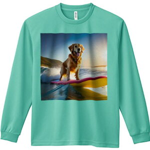 TVc lԗp Y Ht vg W[ AEghA JWA 킢 t@ T[tB{[h S[fgo[ g [ C