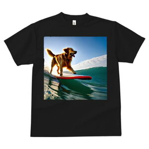 TVc fB[X t@  t  vg JWA 킢 lԗp tBbglX _X T[tB S[fgo[ g C [