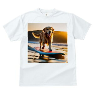 TVc fB[X t@  t  vg JWA 킢 lԗp tBbglX _X T[t{[h S[fgo[ [ C