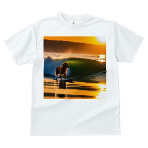 TVc fB[X t@  t  vg JWA 킢 lԗp tBbglX _X T[tB S[fgo[ [ g