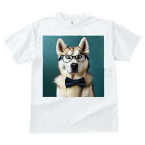 TVc fB[X t@  t  vg JWA 킢 lԗp tBbglX _X Kl VxAnXL[ lN^C