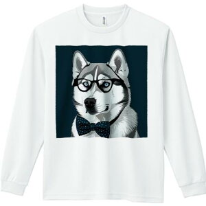 TVc lԗp Y Ht vg W[ AEghA JWA 킢 t@ ዾ VxAnXL[ lN^C