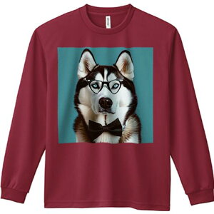 TVc lԗp Y Ht vg W[ AEghA JWA 킢 t@ Kl VxAnXL[ lN^C wi