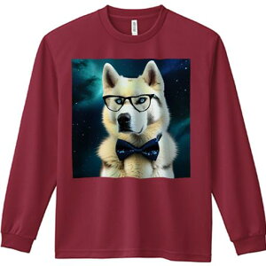 TVc lԗp Y Ht vg W[ AEghA JWA 킢 t@ Kl VxAnXL[ {  