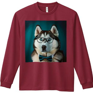 TVc lԗp Y Ht vg W[ AEghA JWA 킢 t@ ዾ VxAnXL[ lN^C