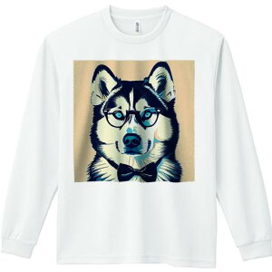 TVc lԗp Y Ht vg W[ AEghA JWA 킢 t@ Kl VxAnXL[ lN^C