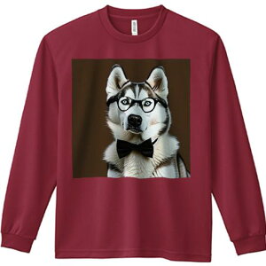 TVc lԗp Y Ht vg W[ AEghA JWA 킢 t@ Kl VxAnXL[ lN^C