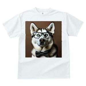 TVc fB[X t@  t  vg JWA 킢 lԗp tBbglX _X Kl nXL[ lN^C