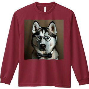 TVc lԗp Y Ht vg W[ AEghA JWA 킢 t@ Kl VxAnXL[ lN^C