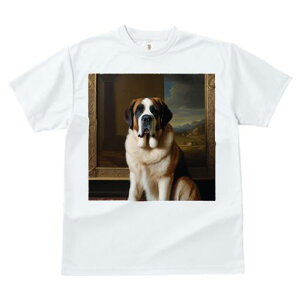 TVc fB[X t@  t  vg JWA 킢 lԗp tBbglX _X G Zgo[i[h t[ 