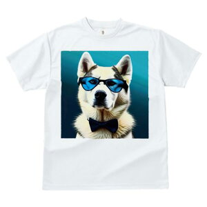 TVc fB[X t@  t  vg JWA 킢 lԗp tBbglX _X TOX VxAnXL[ lN^C N[ 