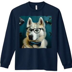 TVc lԗp Y Ht vg W[ AEghA JWA 킢 t@ ዾ VxAnXL[ lN^C   