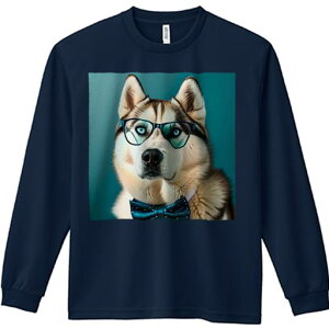 TVc lԗp Y Ht vg W[ AEghA JWA 킢 t@ Kl VxAnXL[ lN^C