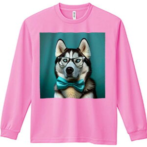 TVc lԗp Y Ht vg W[ AEghA JWA 킢 t@ ዾ VxAnXL[ lN^C