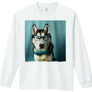 TVc lԗp Y Ht vg W[ AEghA JWA 킢 t@ Kl VxAnXL[ lN^C F̔wi