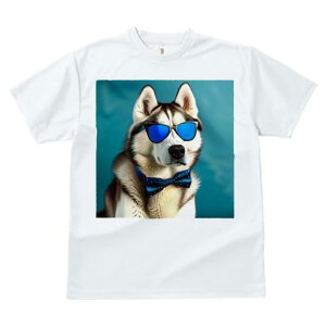 TVc fB[X t@  t  vg JWA 킢 lԗp tBbglX _X TOX VxAnXL[ lN^C wi