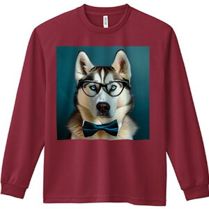 TVc lԗp Y Ht vg W[ AEghA JWA 킢 t@ ዾ VxAnXL[ lN^C wi