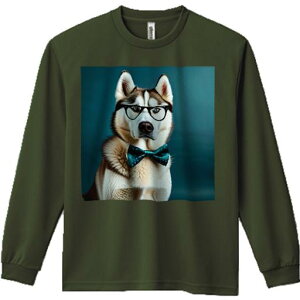 TVc lԗp Y Ht vg W[ AEghA JWA 킢 t@ ዾ VxAnXL[ lN^C