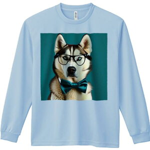 TVc lԗp Y Ht vg W[ AEghA JWA 킢 t@ ዾ VxAnXL[ lN^C 