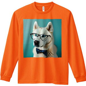 TVc lԗp Y Ht vg W[ AEghA JWA 킢 t@ ዾ nXL[ lN^C wi