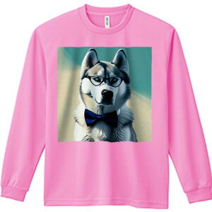 TVc lԗp Y Ht vg W[ AEghA JWA 킢 t@ Kl VxAnXL[ lN^C